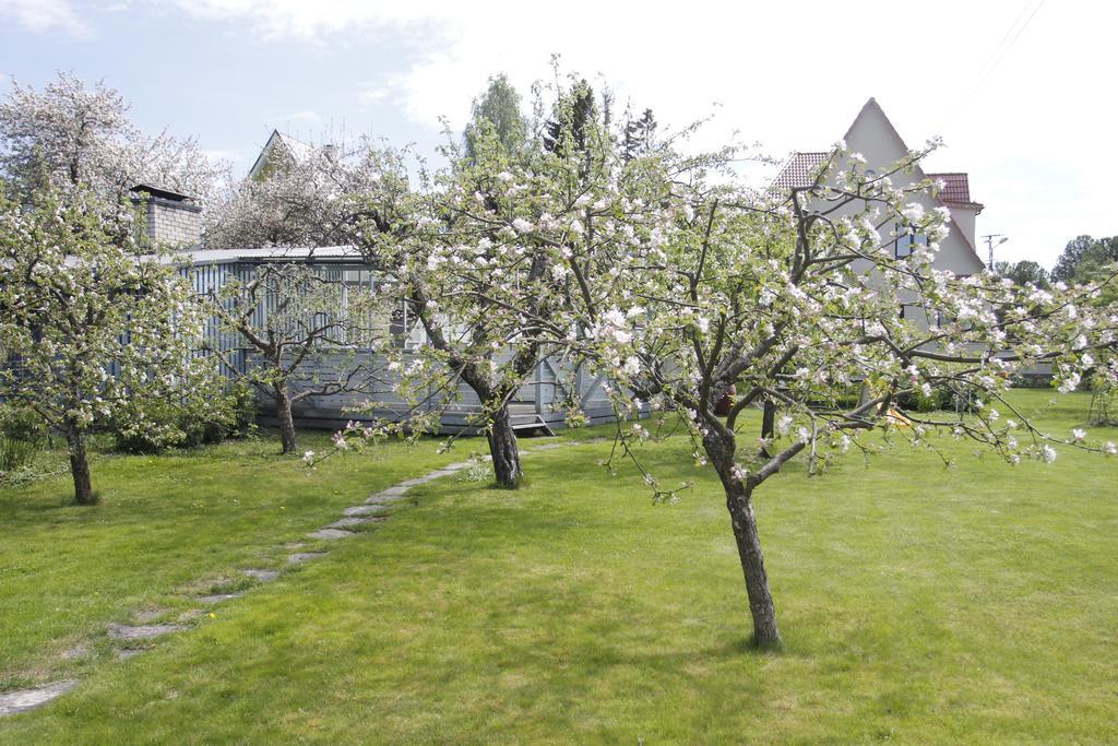 Villa Marleen Pärnu Buitenkant foto